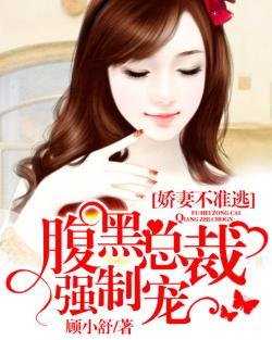 娇妻训话总裁——一部短剧的魅力与启示，娇妻训话总裁，短剧的魅力与情感启示